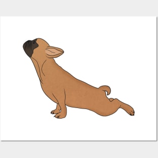 Cute French Bulldog doing Yoga, Funny Dog Lover Posters and Art